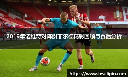 2019年诺维奇对阵谢菲尔德精彩回顾与赛后分析
